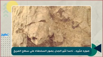 صورة مثيرة.. ناسا تثير الجدل بصور السلحفاة على سطح المريخ